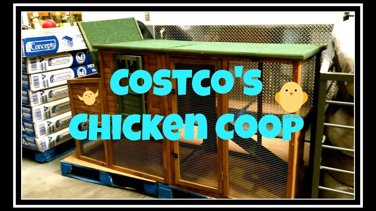 54488 chicken coop size