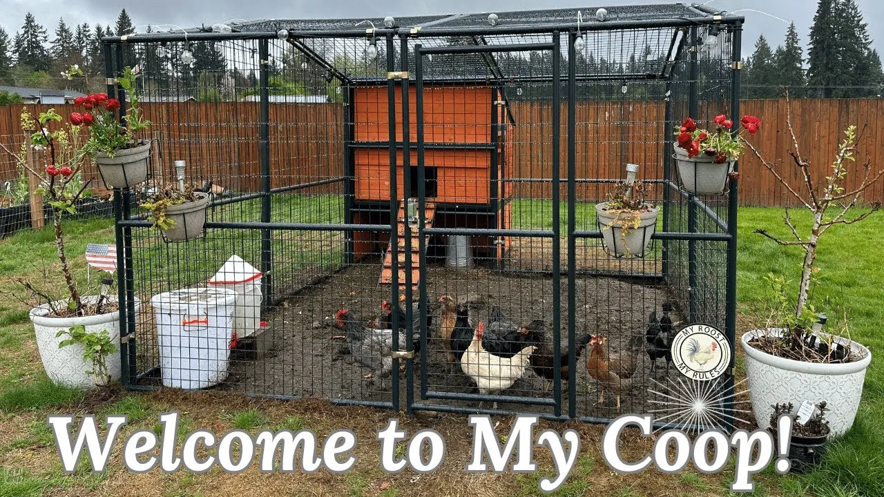 54489 defender chicken coop overview