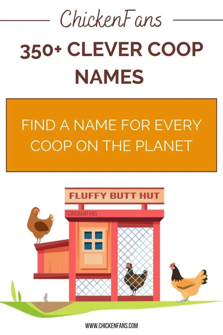 54490 chicken coop names intro