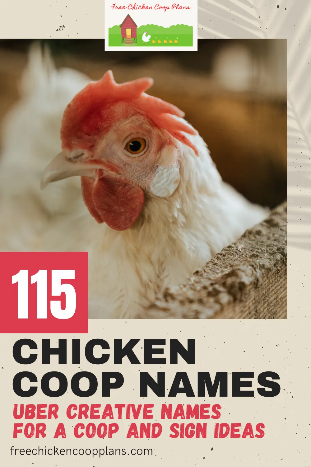 54490 choosing chicken coop names