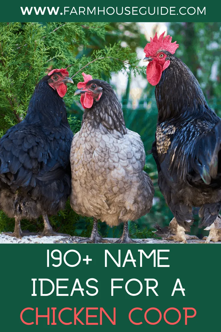 54490 cluckingham palace