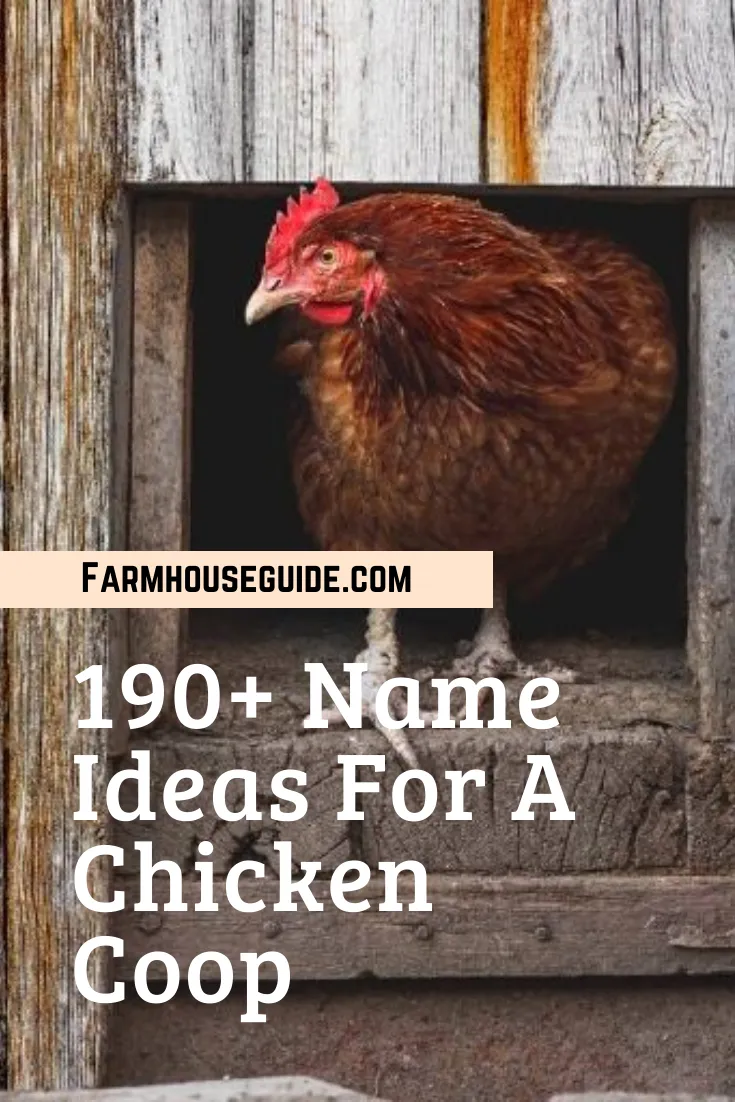 54490 hen house hotel