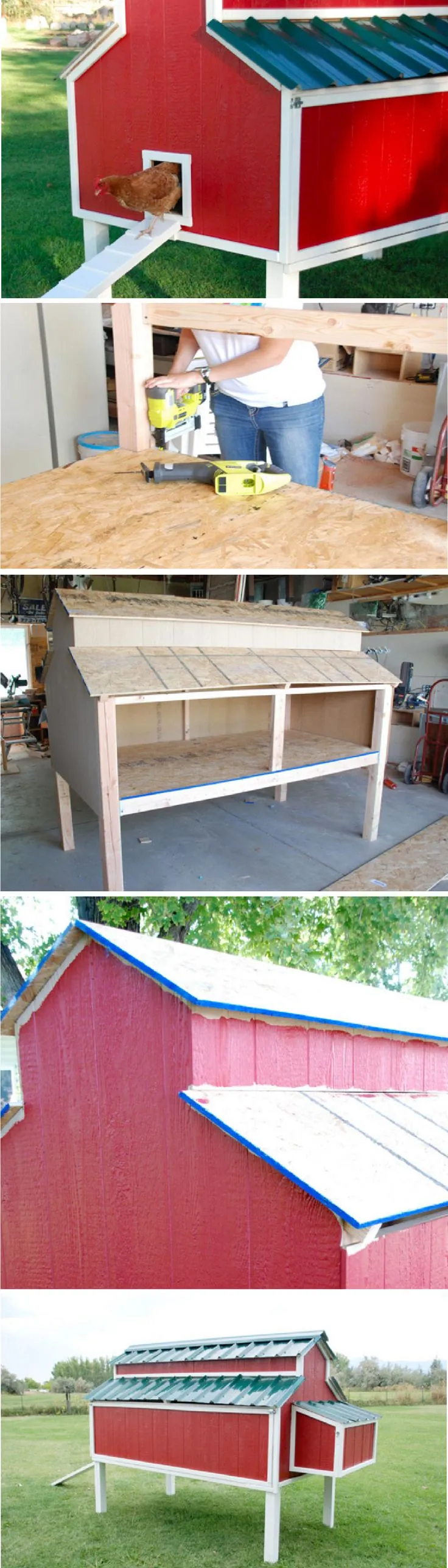 54491 home depot chicken coop plan 7