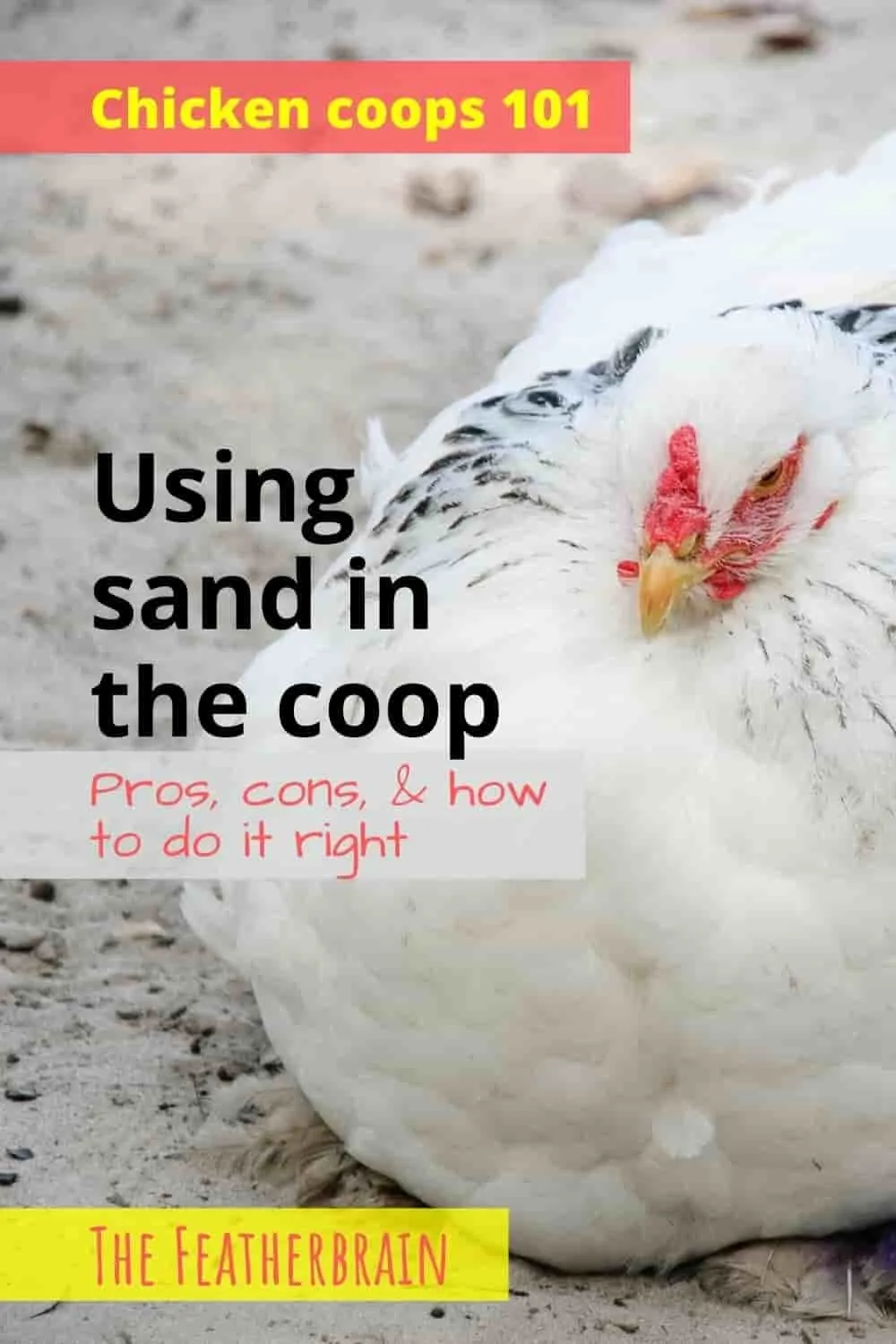 54495 chicken coop sand alternatives