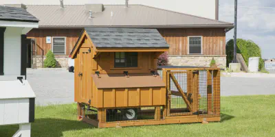 /img/54496-chicken-coop-tractor-maintenance.webp