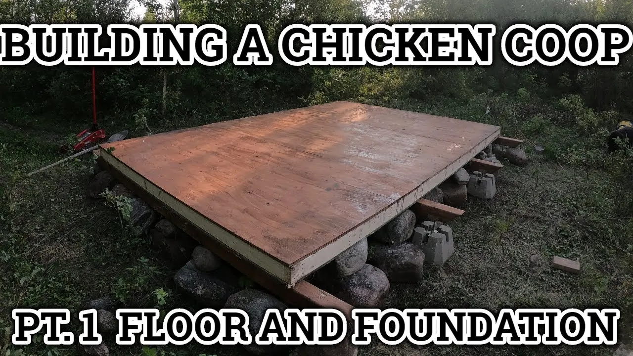 54497 building chicken coop floor