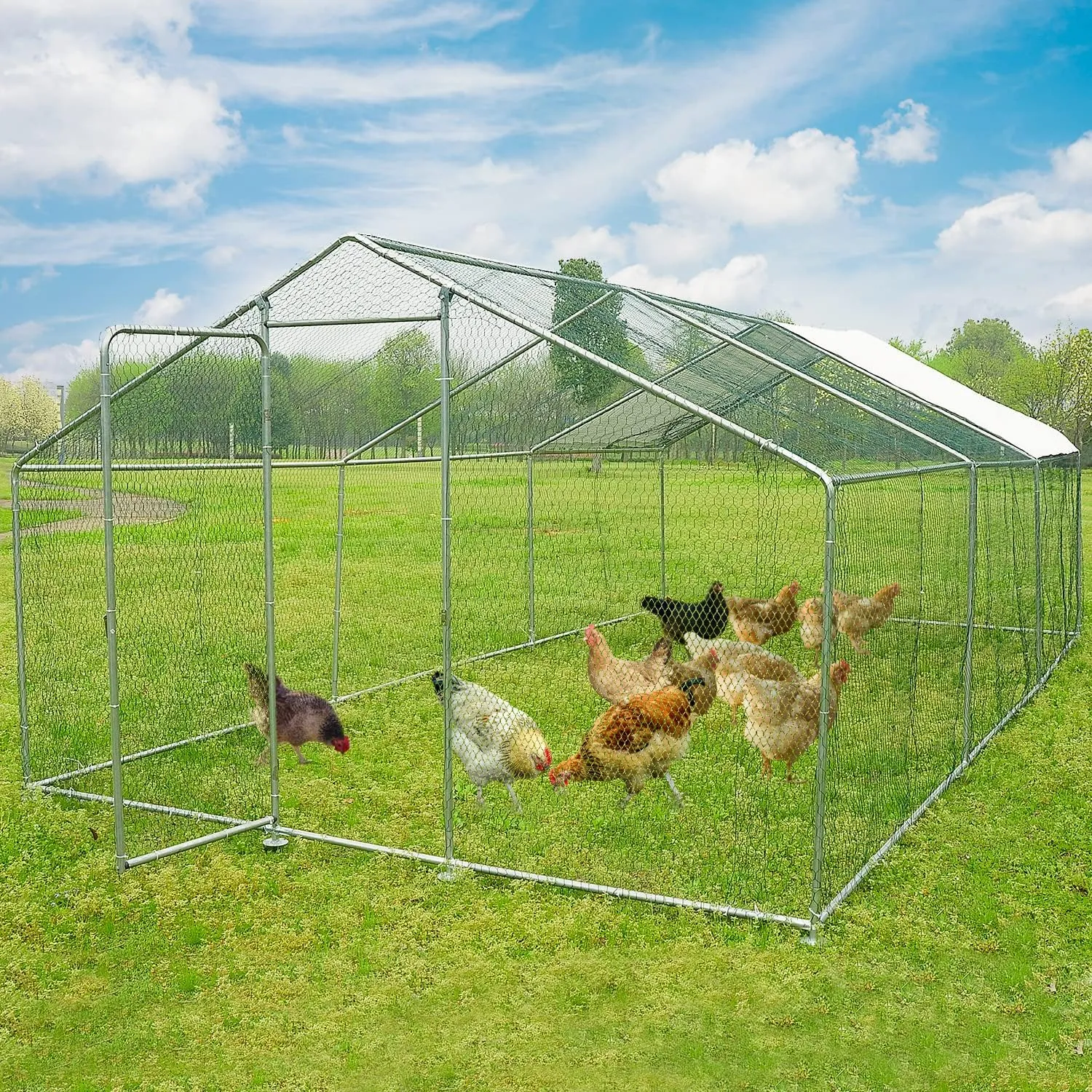 54500 metal chicken coop security