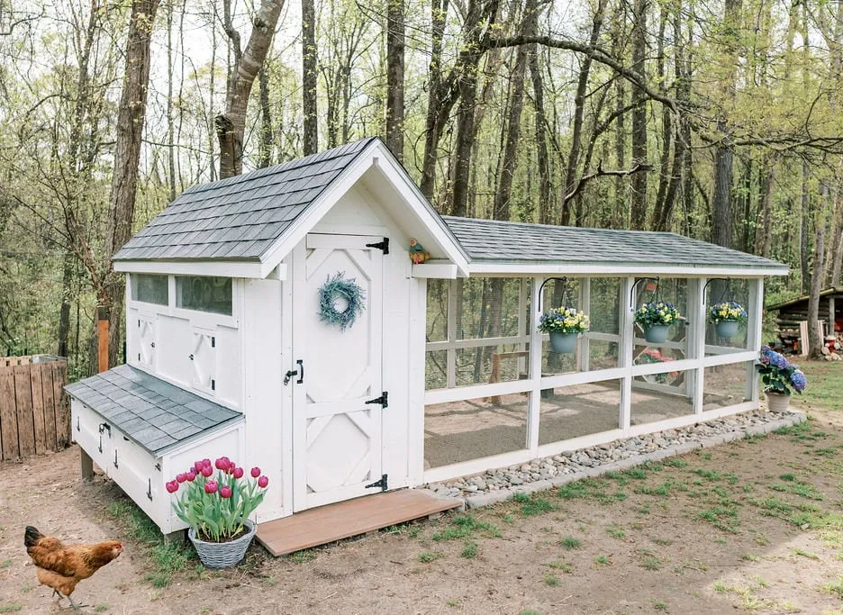 54501 chicken coop features