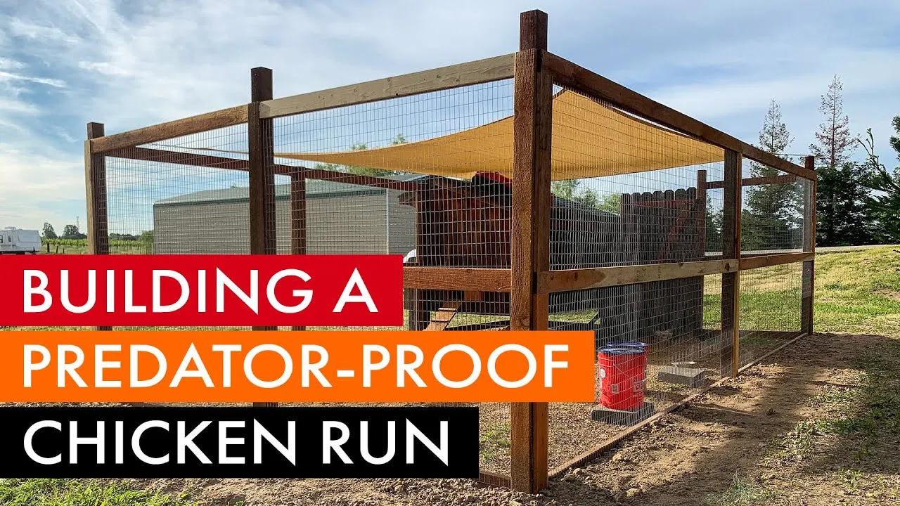 54502 reinforcing chicken coop roof