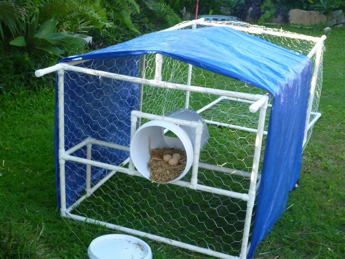 54504 chicken coop design planning