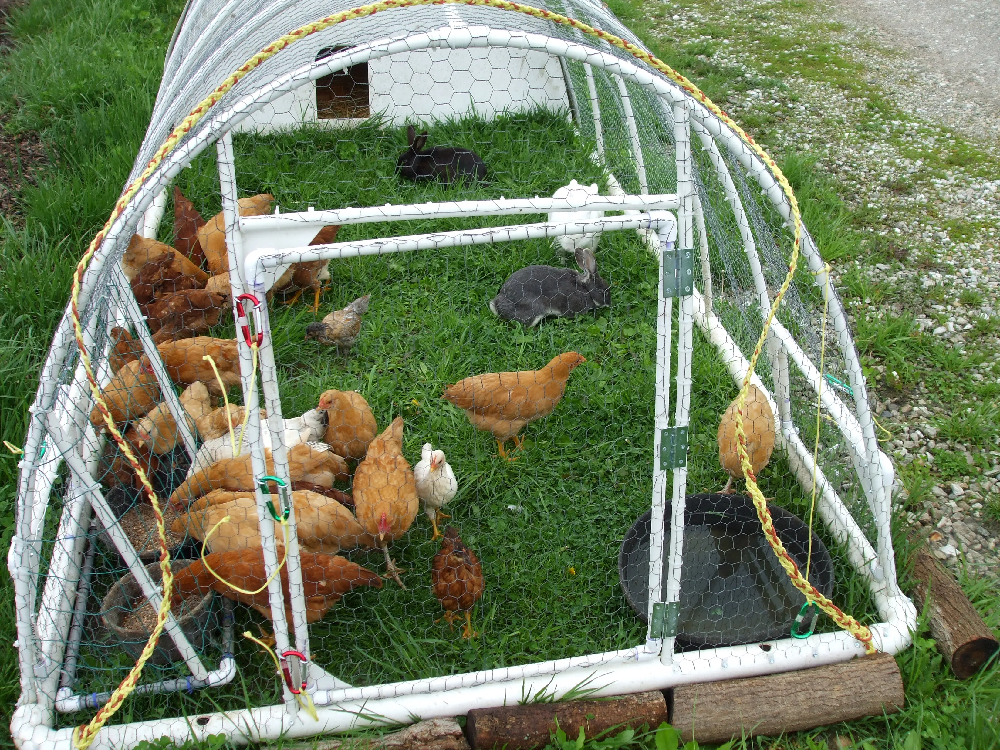 54504 chicken coop ventilation