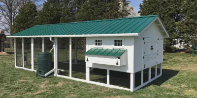 /img/54505-chicken-coop-roof-ventilation.webp