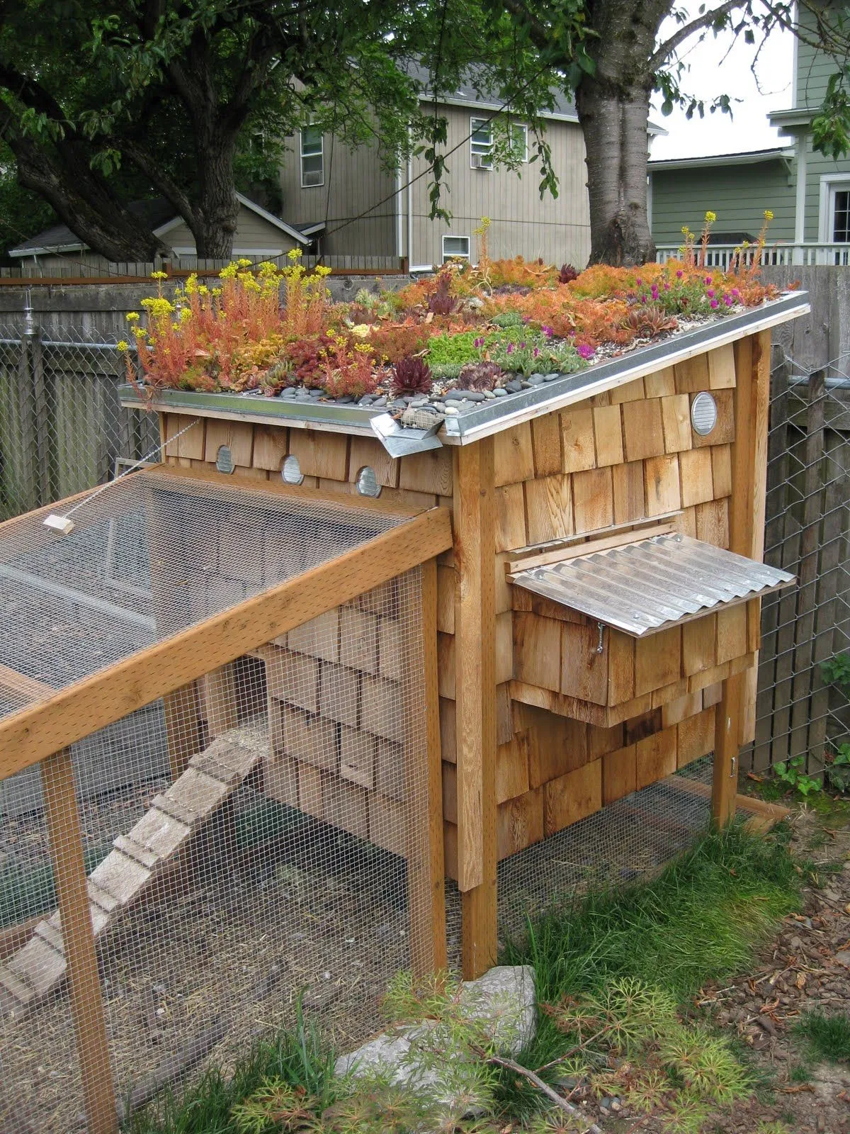 54505 gambrel roof chicken coop
