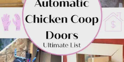 /img/54508-aesthetic-chicken-coop-door.webp