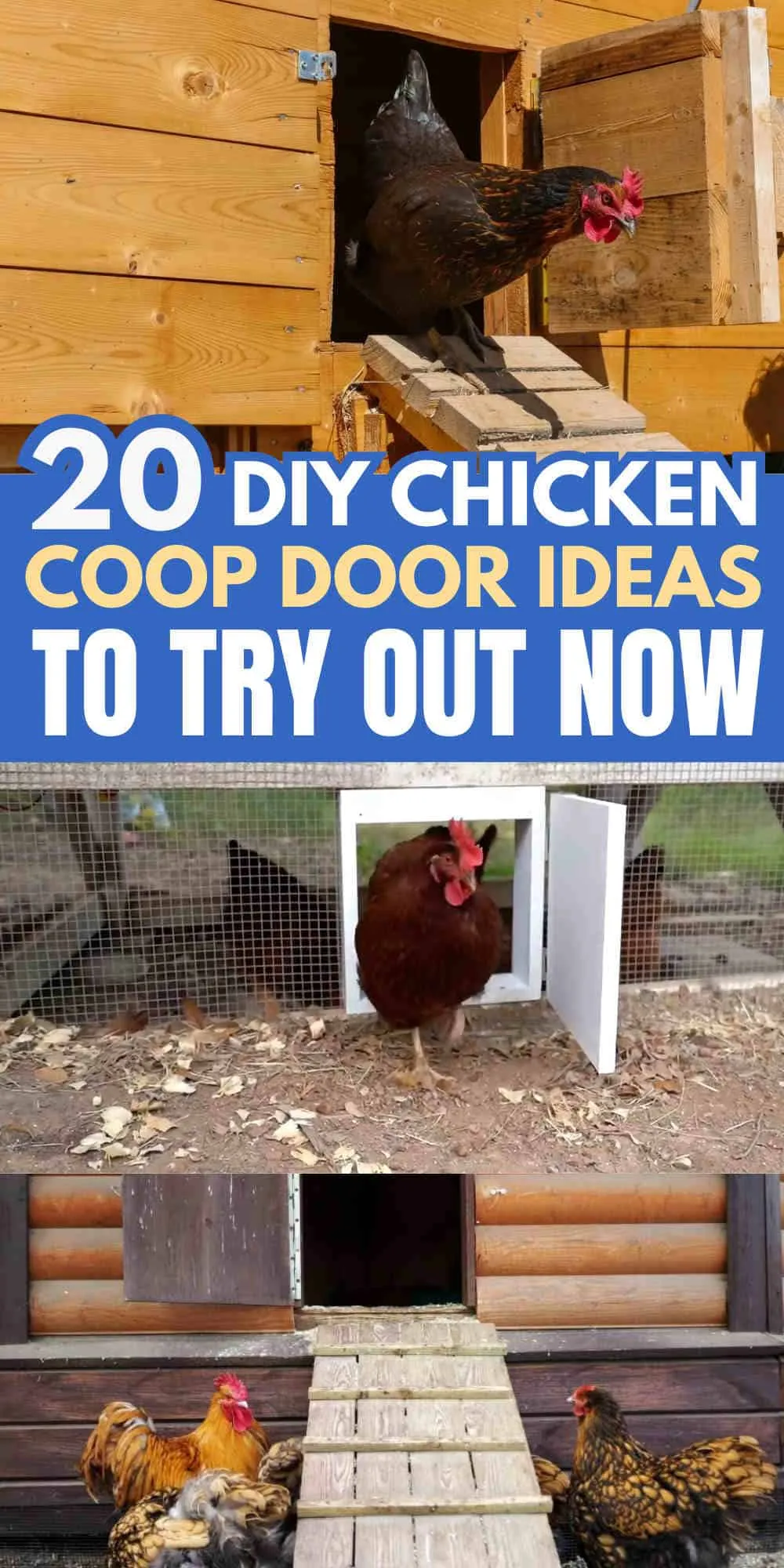 54508 predator proof chicken coop door