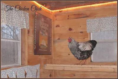54510 automatic lighting system for chicken coop