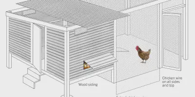 /img/54511-chicken-coop-predator-proof.webp