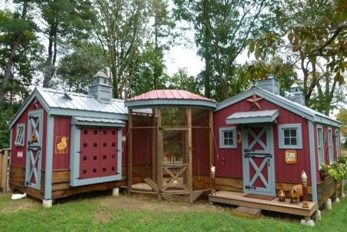 /img/54512-chicken-coop-wood-material.webp
