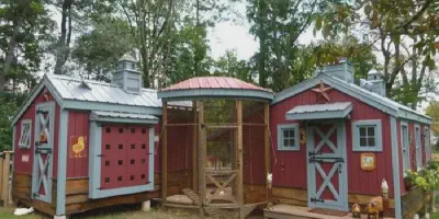 /img/54512-chicken-coop-wood-material.webp