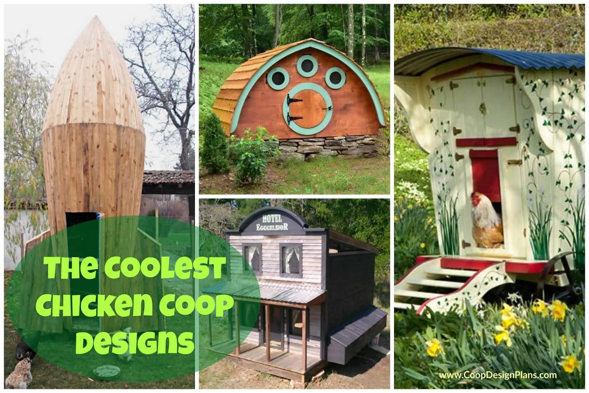 54512 cool chicken coop location