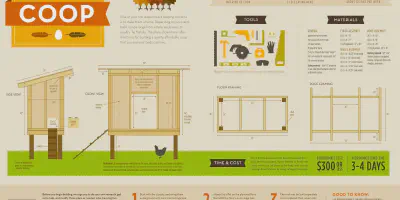 /img/54513-chicken-coop-accessibility.webp
