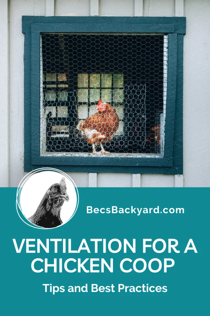 54515 coop size ventilation