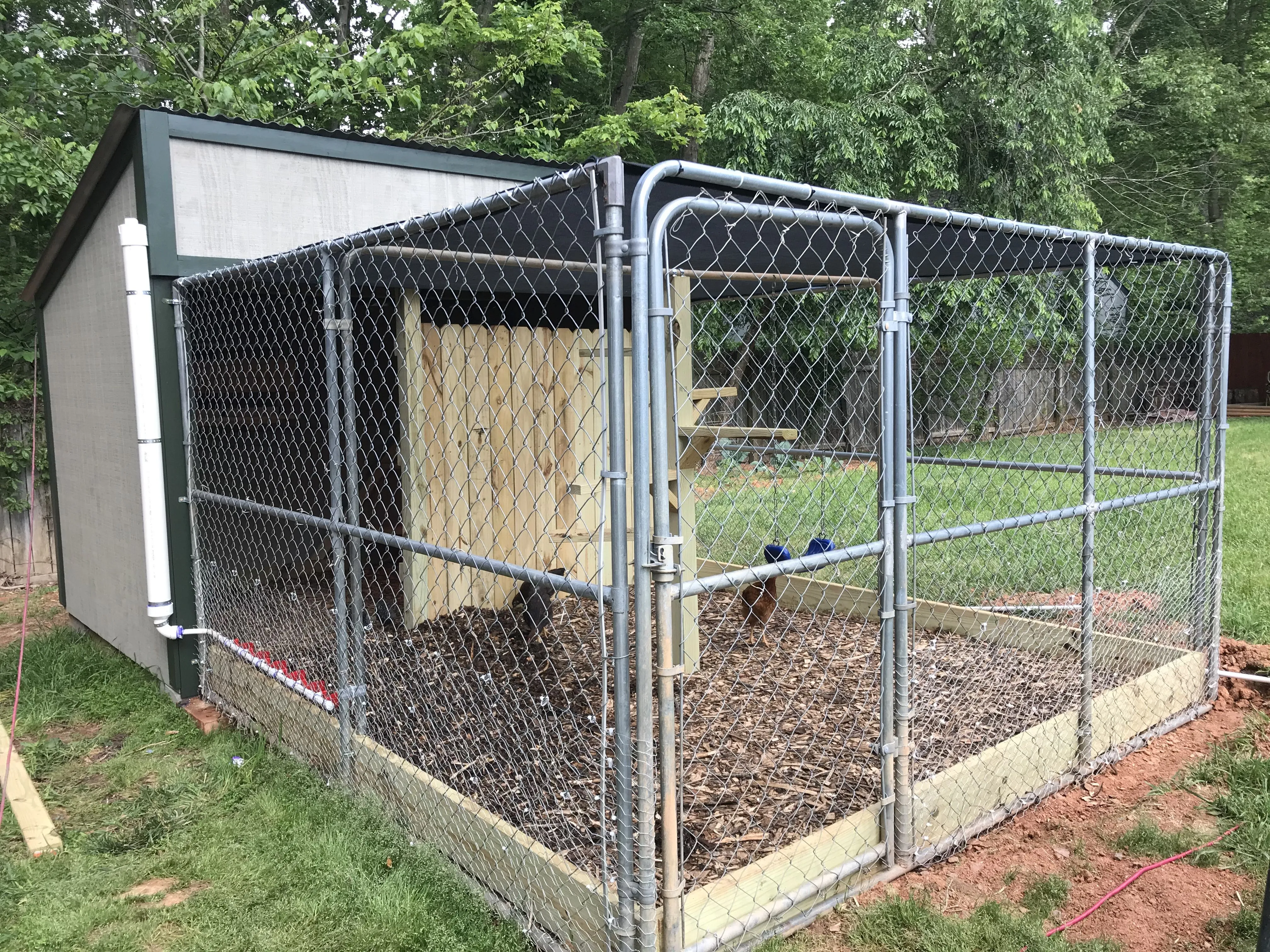 54516 dog kennel chicken coop planning