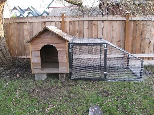 54516 dog kennel structure assessment