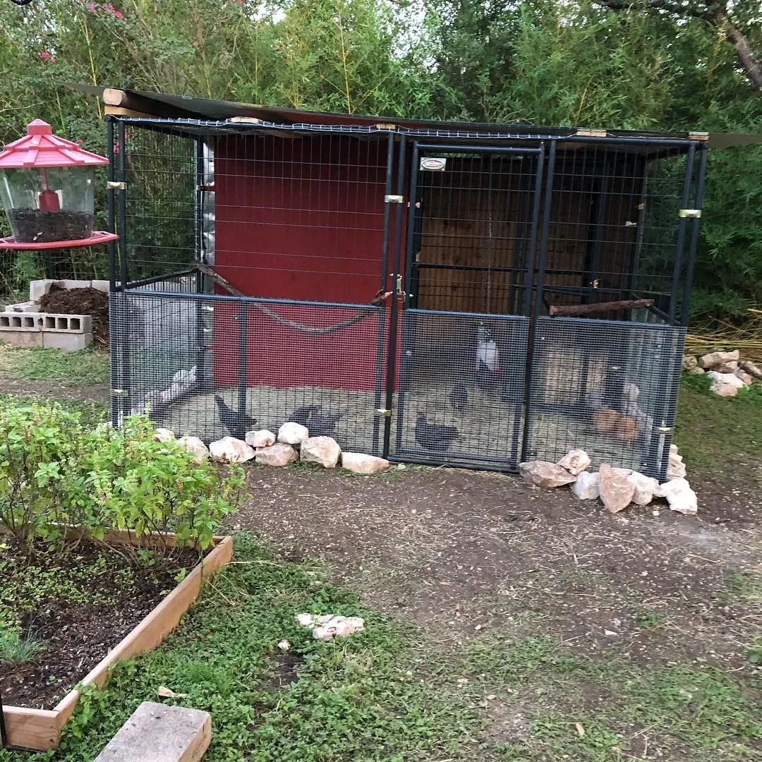 54516 predator proofing coop
