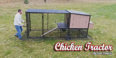 /img/54517-chicken-coop-predator-proof.webp