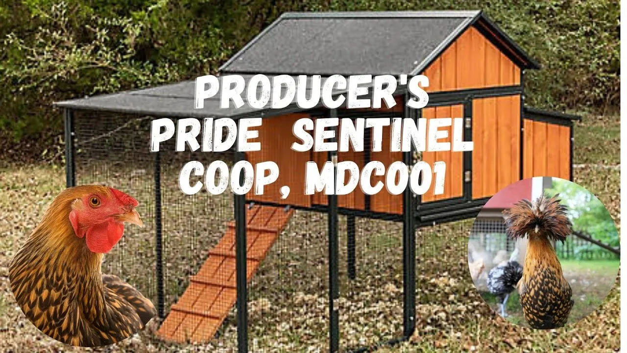 54517 chicken coop ventilation