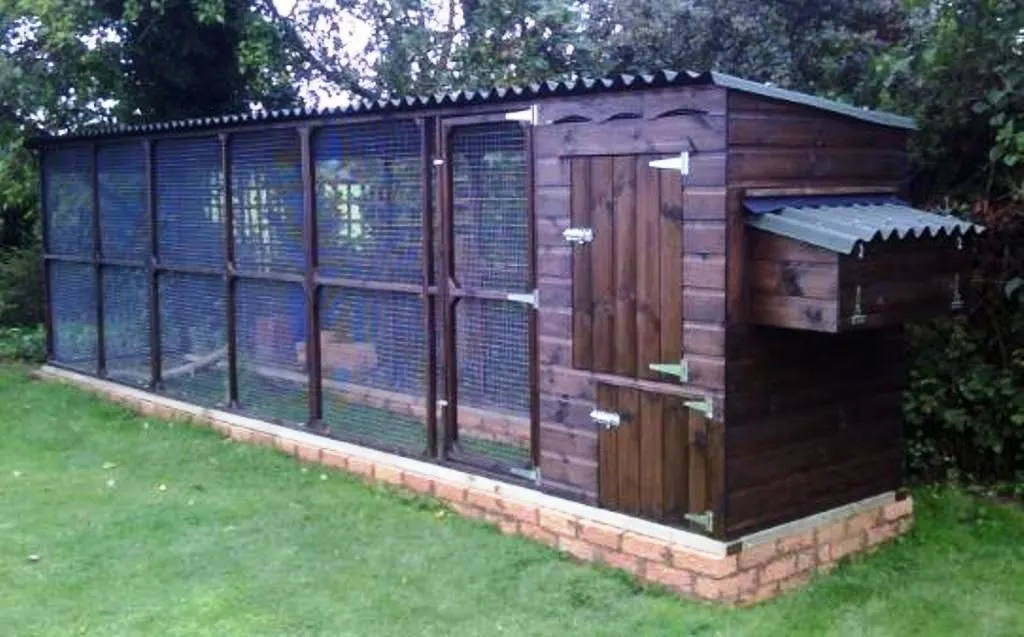 54518 predator proof coop