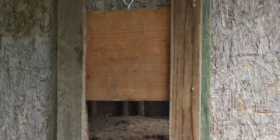 /img/54520-chicken-coop-door-maintenance.webp