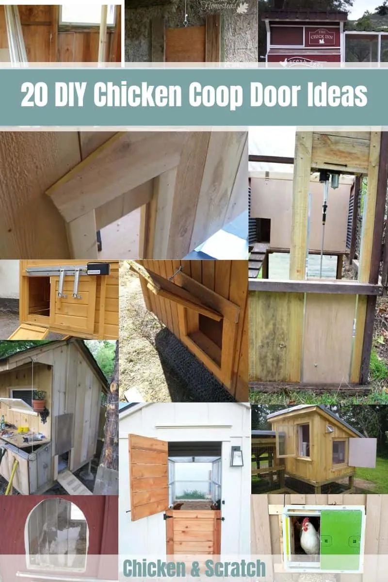 54520 swinging chicken coop door