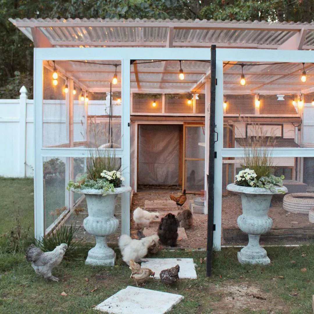 54522 chicken coop lights overview