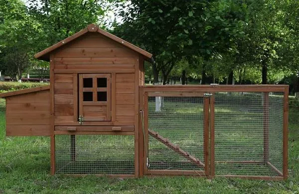 54523 chicken coop transport