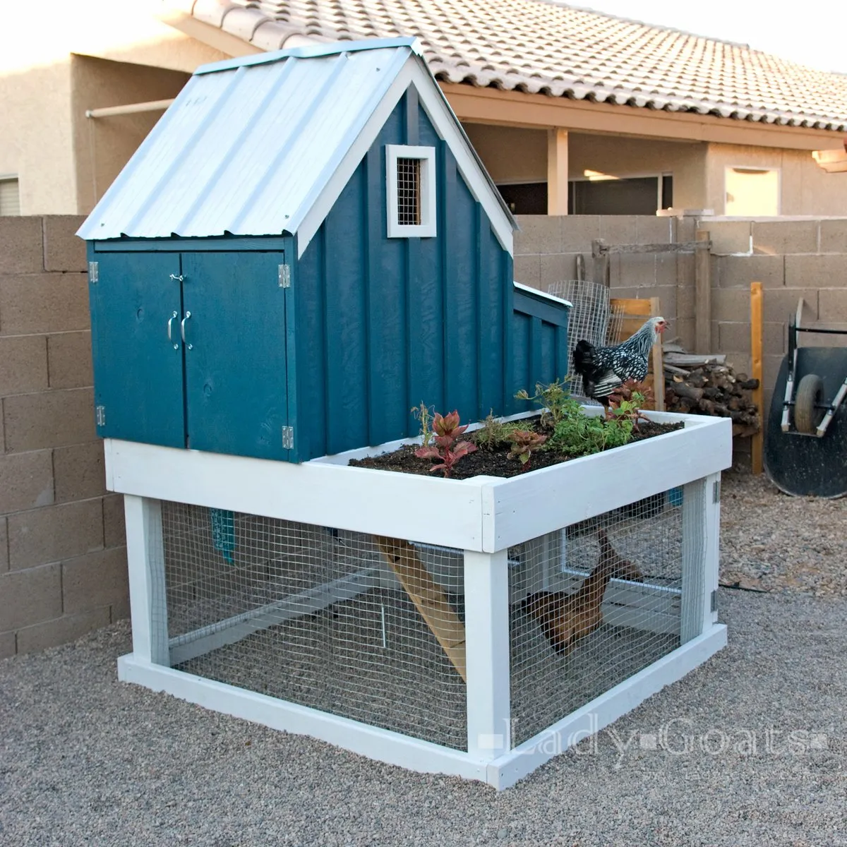 54526 chicken coop space