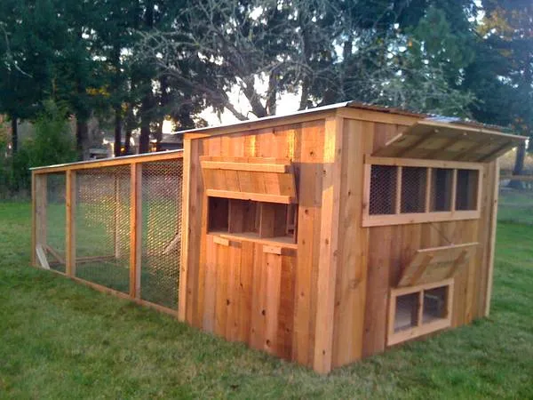 /img/54532-chicken-coop-automatic-door.webp