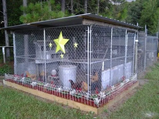 54533 cleaning dog kennel chicken coop
