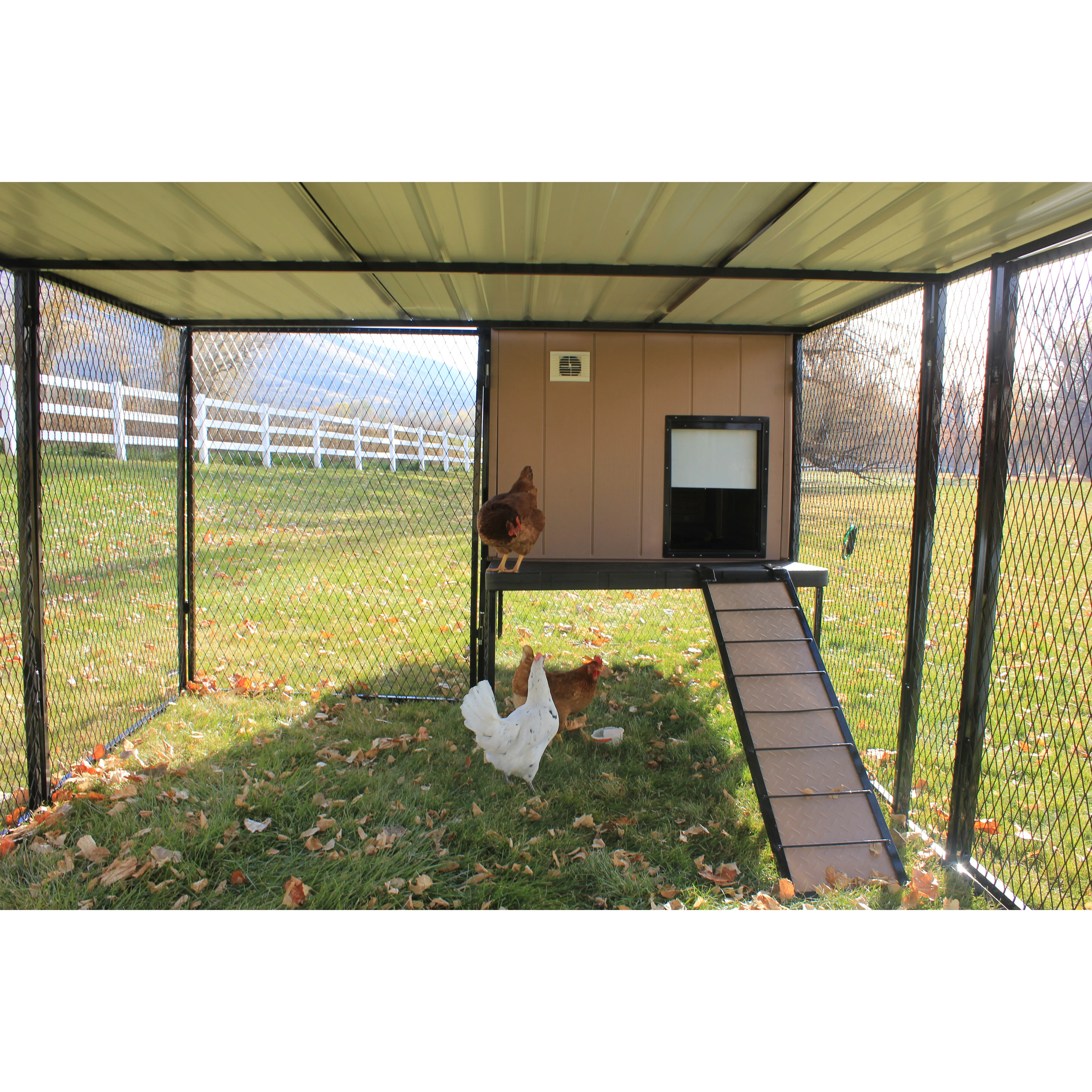 54533 location dog kennel chicken coop