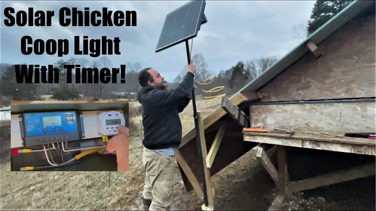 54536 chicken coop timer