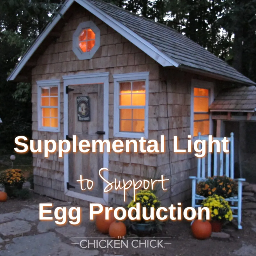 54536 troubleshooting chicken coop lighting