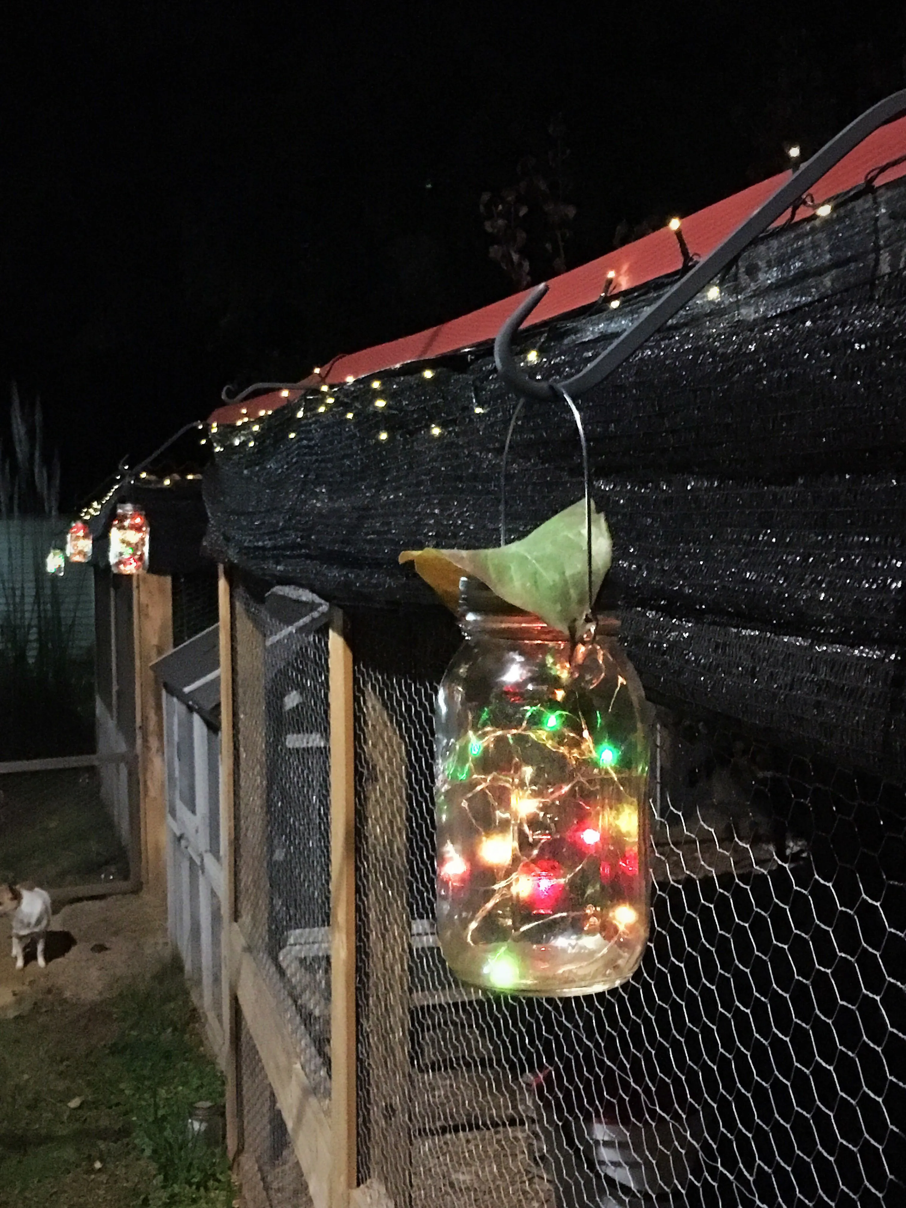 54537 chicken coop led lights