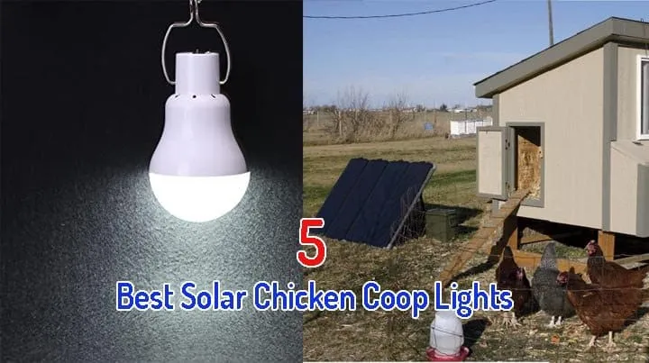 54539 chicken coop led light