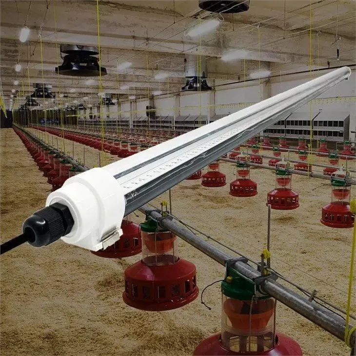 54539 incandescent bulb