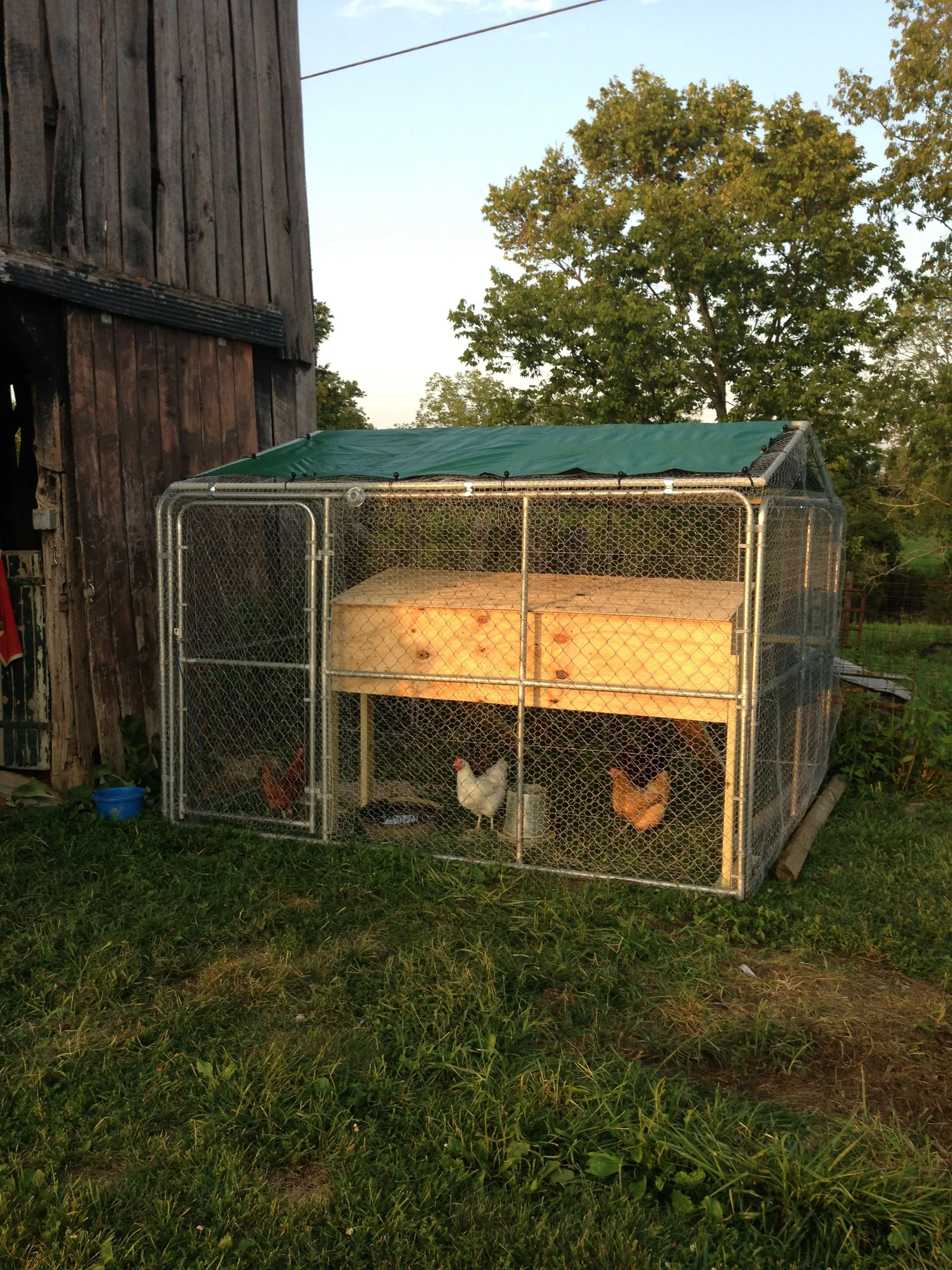 54540 chicken coop design