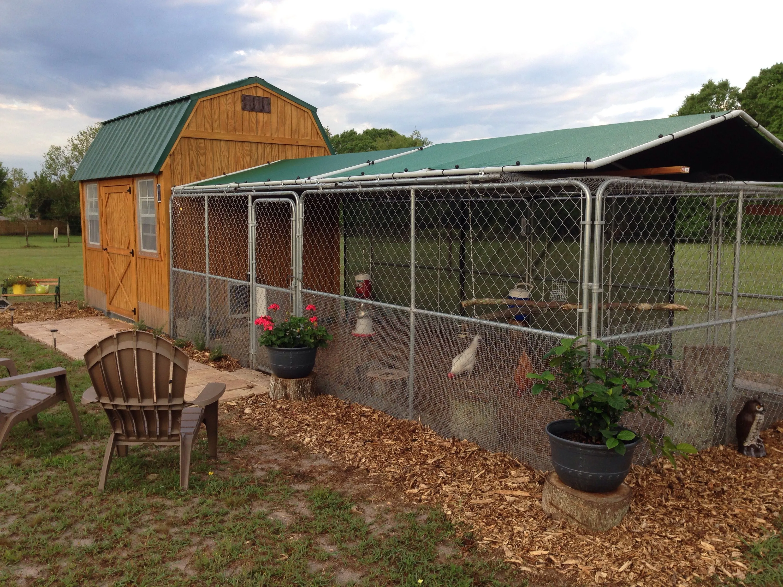 54540 chicken coop security