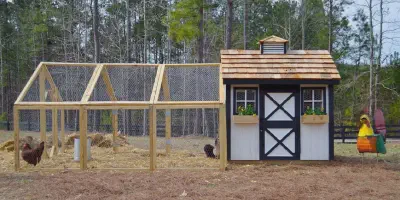 /img/54541-cheap-chicken-coop-ideas-predator.webp