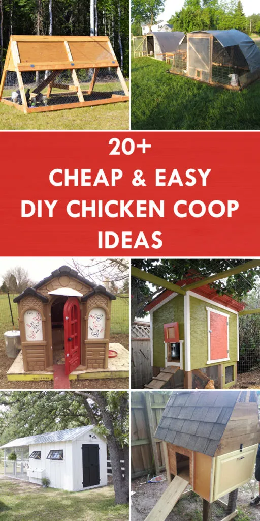 54541 cheap chicken coop ideas shed