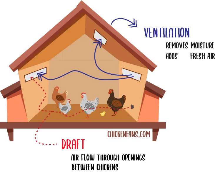 54543 chicken coop ventilation 1